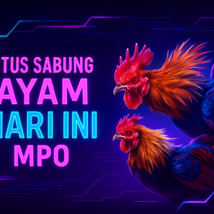 Situs Sabung Ayam Hari Ini MPO